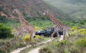 Gondwana Game Reserve